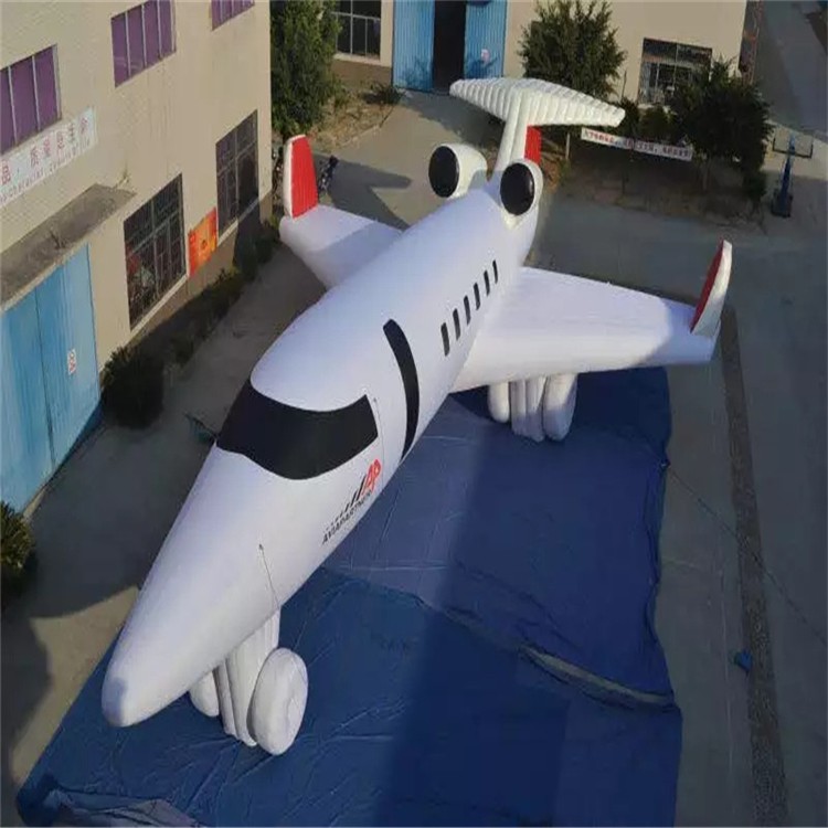 甘南充气模型飞机